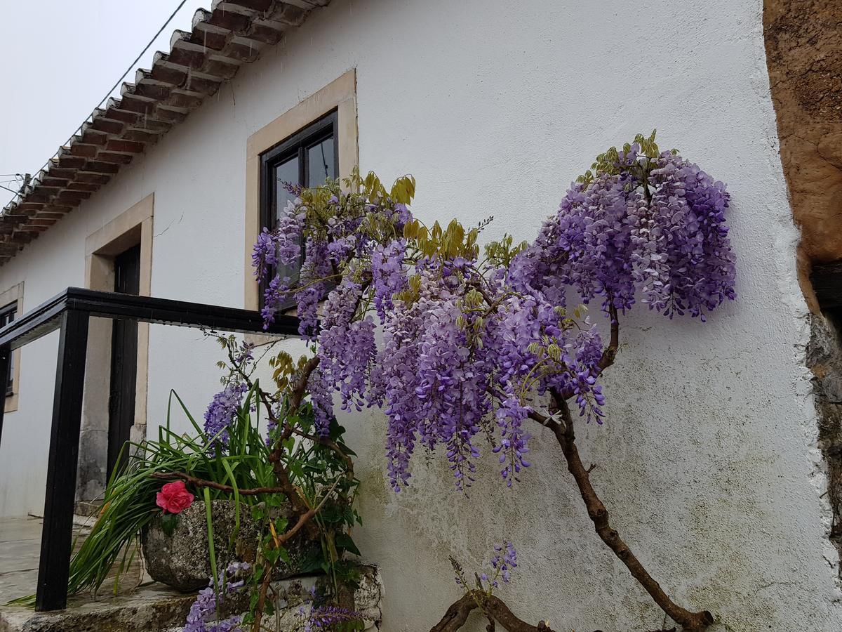 فندق Casa Dos Tios فاطمة المظهر الخارجي الصورة